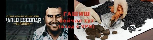 гашик Балахна