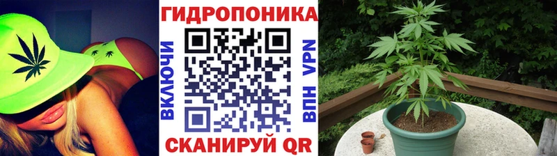 где можно купить Борзя Шишки марихуана конопля